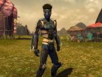 Guild Wars Factions Key (NCsoft Download)