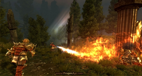 Dragon Age Origins Key (EA Origin Download)