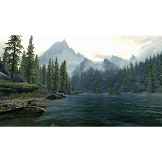 Oblivion The Elder Scrolls 5 Skyrim Key EU (Steam)